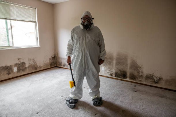 Best Mold Remediation for Schools in Petersburg, AK